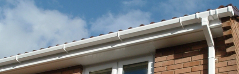 Dorset Trade Windows