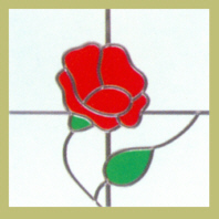Colour Rose