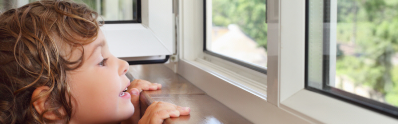 Dorset Trade Windows